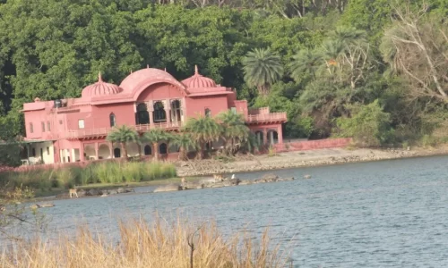 Padam Lake: The Heart of Ranthambore National Park